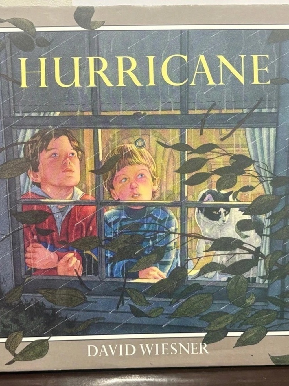 Clarion Books Hurricane Illustrated Children's Hardcover Book